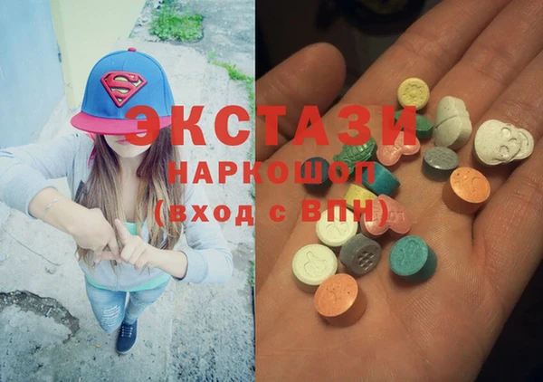 ECSTASY Богданович